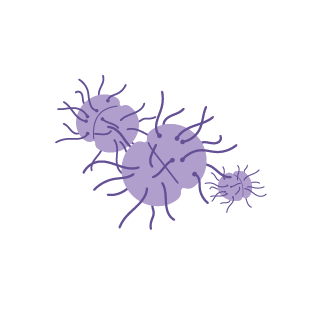 Gonorrhea